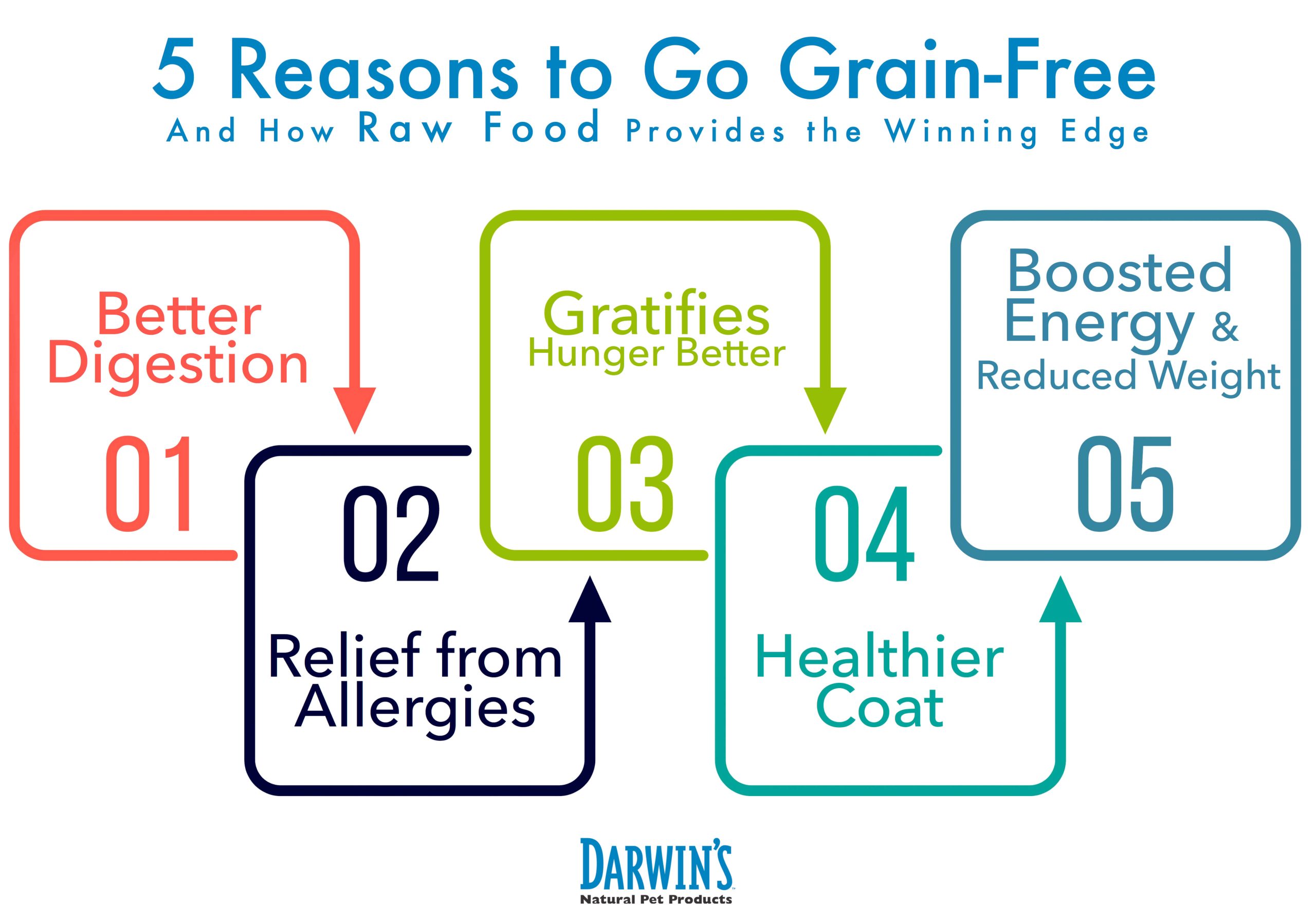 Grain-Free Dog Food Benefits